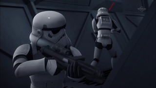sw (46)