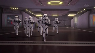sw (17)