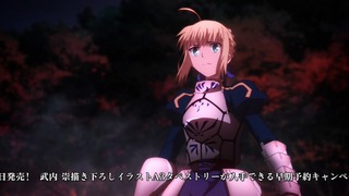fate-20