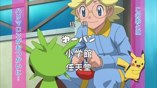 xy (12)