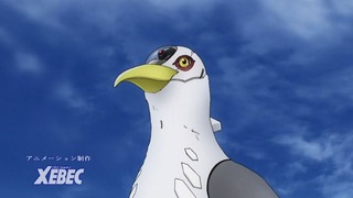 cap (15)