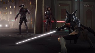 sw (117)