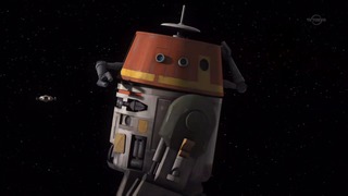 sw (41)
