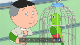 sazae-173