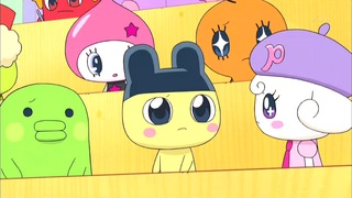 tama (27)