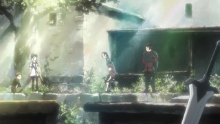 cap (12)