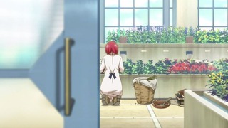 cap (9)