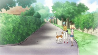 cap (9)