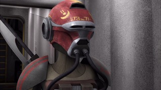 sw (45)
