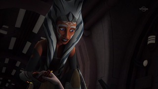 sw (26)