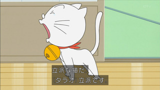sazae-15