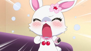 cap (13)