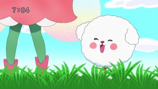 cap (13)