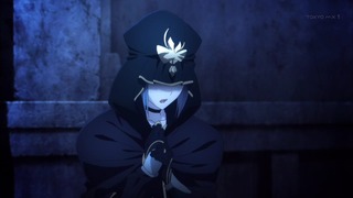 fate14 (42)