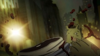 cap (127)