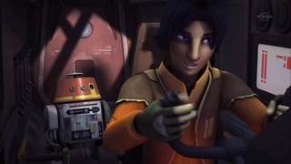 sw (9)