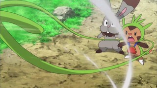 xy (106)