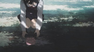 cap (313)