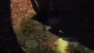 cap (27)
