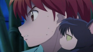 rin-181
