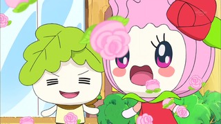 tama (30)