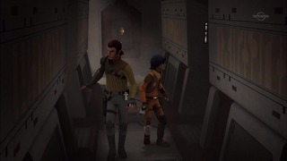 sw (39)