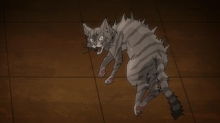 jojo-113