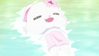 cap (21)