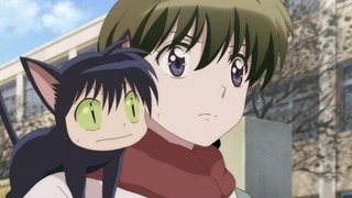 rin-88