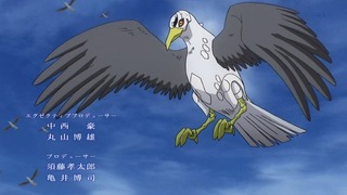 cap (12)