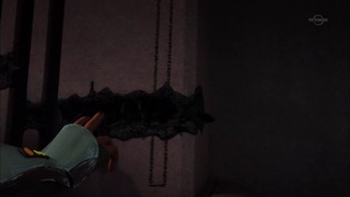 sw (24)