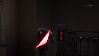 sw (86)