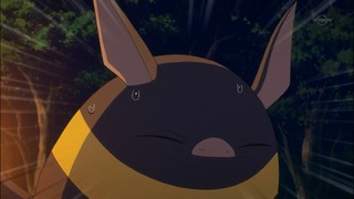 080