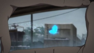 cap (237)