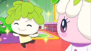 tama (5)