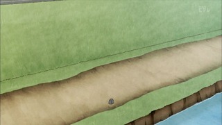 804