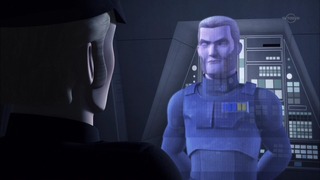 sw (20)