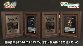 cap (33)