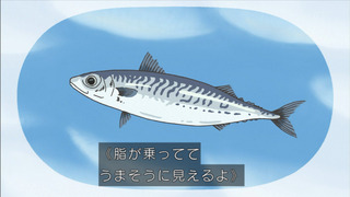 saza-96