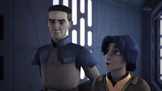 sw (11)