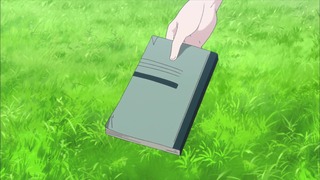 cap (49)