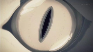 ne (10)