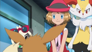 xy (196)