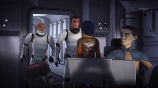 sw (61)