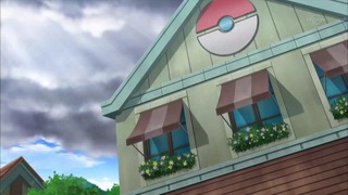 xy (56)