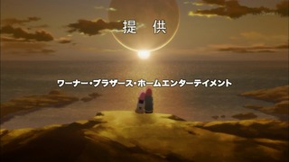 cap (113)