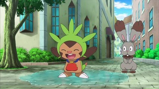 xy (68)