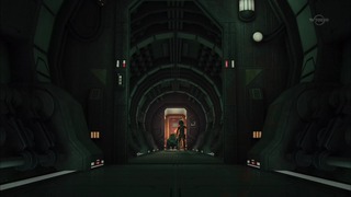 sw (13)