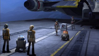sw (65)