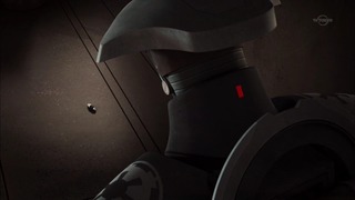 sw (74)